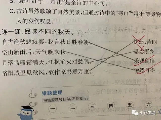 幼儿篮球训练内容与要求有哪些?_1